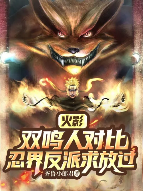 Hokage: But Naruto Compared The Ninja World To A Villain Asking For Forgiveness