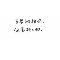 搞笑的文字头像大全纯文字2017我只和荣耀王者聊天
