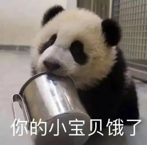 表情包不要玩了,陪陪我吧
