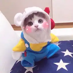 头像超萌的狗狗和猫咪头像
