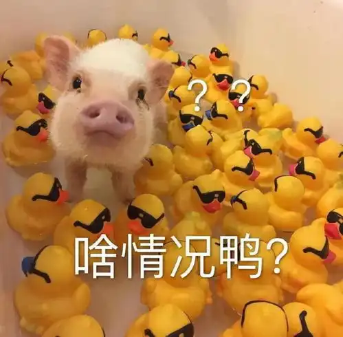 可爱表情包你不能拒绝我
