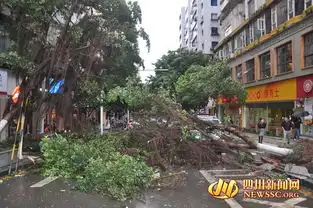 5日凌晨达州现大风天气多处行道树被连根拔起组图
