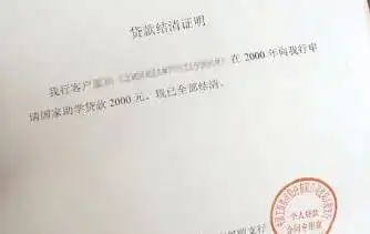 抵押车中的全款查封带大本,是什么意思
