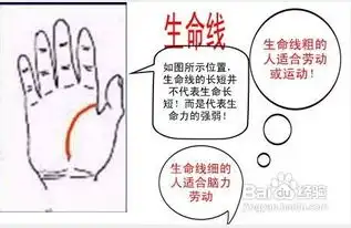 怎样通过手相看命运
