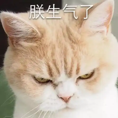 肯德基新品莫吉托你成功吸引了我的注意
