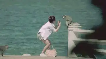 看完这个,突然对剑道产生浓厚的兴趣
