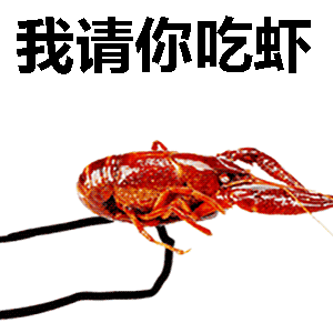 抖音套路你还不如来长沙
