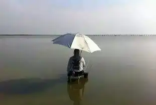 钓鱼搞笑图片大全,膜拜啊
