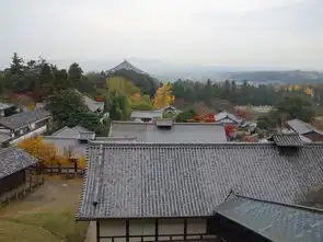 做一回追枫中年,领略东瀛绝美深秋色2016大阪奈良京都富士山东京
