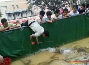 眼尖的童鞋们在哪内涵囧图好想玩妹子的电脑图片22游侠图库
