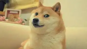 求一张神烦犬doge的手机超清壁纸反正像素高一点答案满意再追加100

