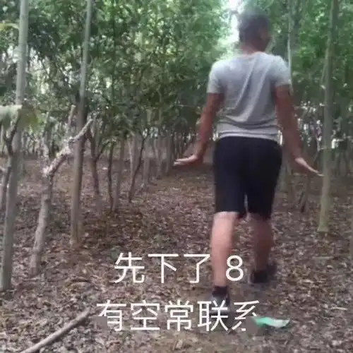 qq搞笑表情包带字图片
