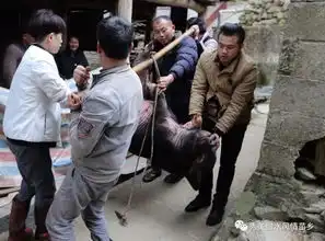 爱心班车送返乡农民工回家过年
