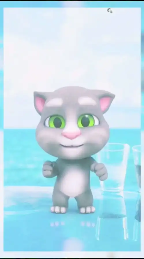 搞笑汤姆猫
