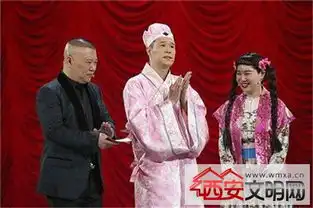 小沈阳为什么退出欢乐喜剧人2刘能或赵四将代替其参加2
