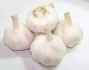 当北方姑娘嫁给南方小伙子,日常生活可以说是非常爆笑了哈哈哈
