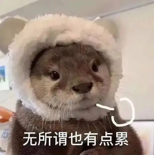 表情包我好累,要哥哥抱抱
