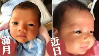 组图甘比晒与刘銮雄三胎女儿宝宝小手胖胖头发很浓密
