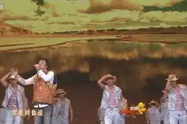 历年央视春晚穿帮镜头真逗
