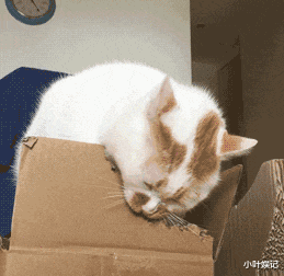 搞笑图片娶同学为妻是一种什么体验
