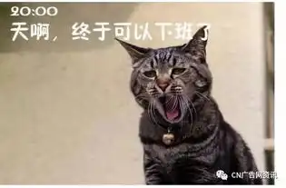 梦想的广告圈与现实的广告圈差别咋这么大呢
