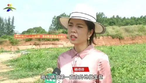厉害了覃巴90后姐弟回乡搞种植,百亩西瓜喜获丰收

