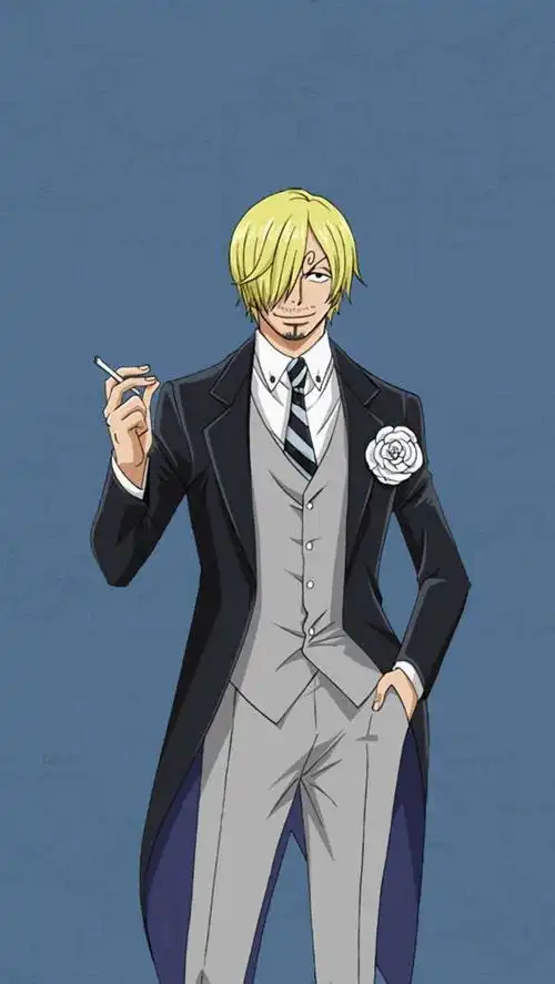 草帽团全员正装,娜美礼服显身材,弗兰奇清奇,罗宾礼服开叉太高
