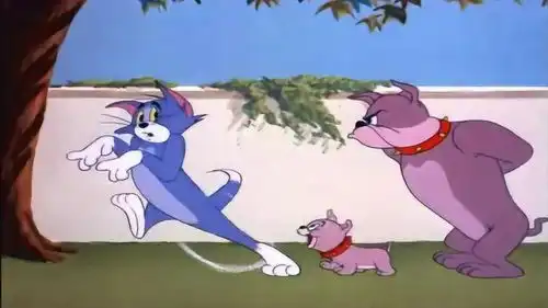猫和老鼠汤姆这是有心理阴影了吧,一听到狗叫就怕的逃跑
