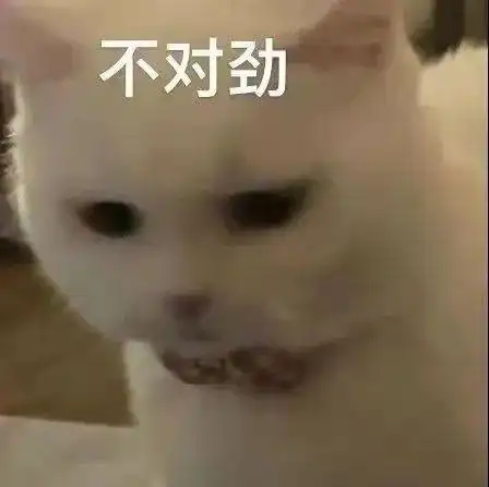 又火了一个日本减肥智商税,这回要把人直接埋起来
