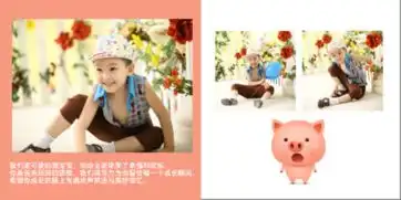 十二生肖猪宝宝专刊方10寸麂皮绒照片书时间海
