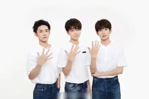 tfboys联排被迫取消蔡徐坤粉丝现场搞事,扬言王俊凯眼睛必瞎
