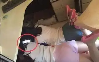 内涵图两位妹子,上班玩手机这下被抓到了吧

