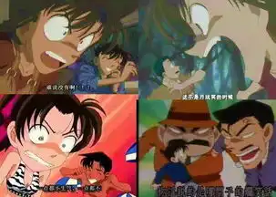 柯南里貌似有一集是大家去海滩上穿着泳装的那是哪一集啊
