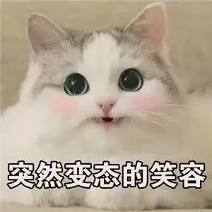 海洋萌宠节爆笑启幕,双节鲸彩升级,我们不一young
