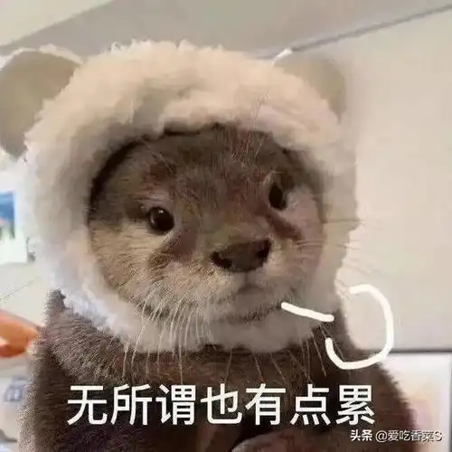 有哪些又惨又好笑的搞笑段子
