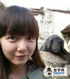 妹子,你的美貌竟然输
