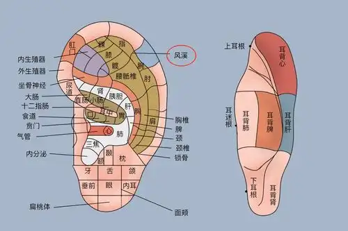 风溪的位置及作用
