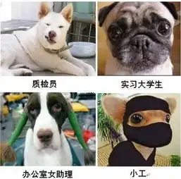 售楼部的美女,工程部的汉,
