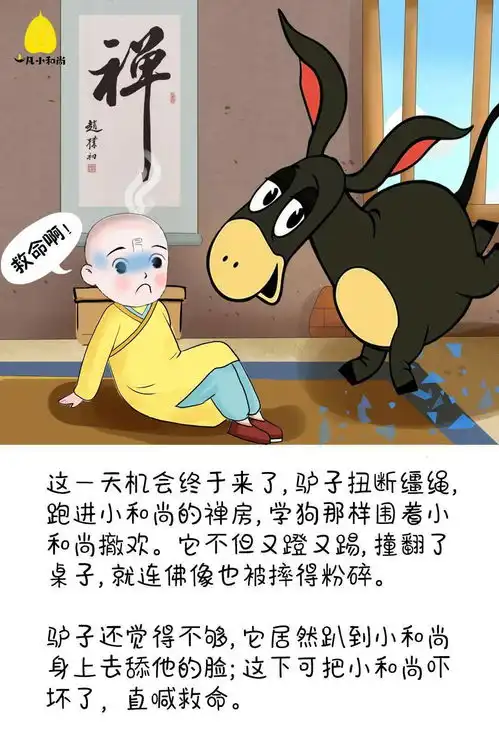 一头驴闹出的笑话
