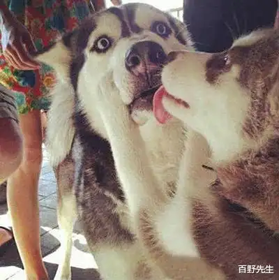 每日一笑就这英语水平就别玩浪漫了吧
