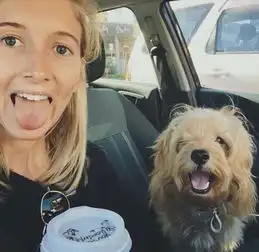 混血萌犬爆红网络憨态可掬脾气好组图
