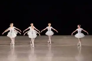 国外很火的那个搞笑芭蕾舞中用了哪些音乐

