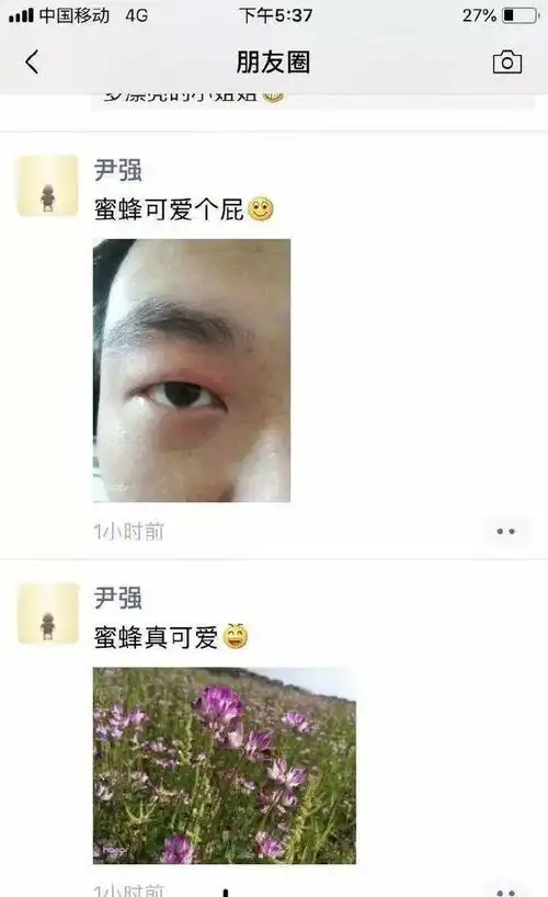 工藤新一参选秋田市议员了爆笑合集
