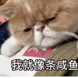 各种恶搞的微信头像
