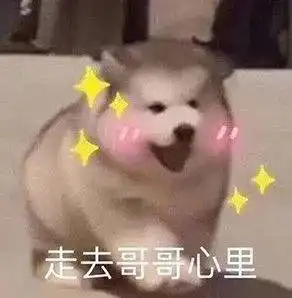 e句话看天下被落下的狗狗路边搭车追主人,过于聪明了
