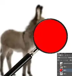 photoshop制作有趣的放大镜扫视小毛驴图片动画3
