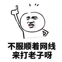 表情包今天只有两个字流弊

