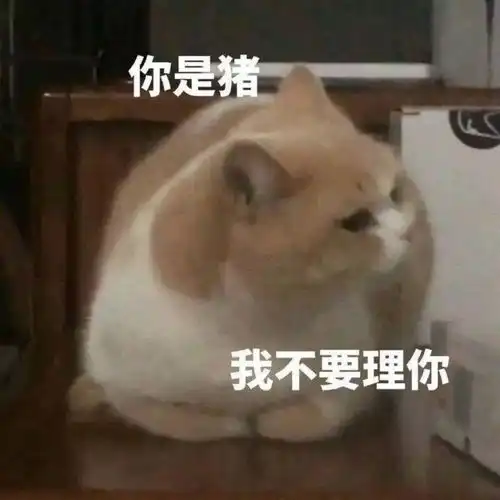 搞笑表情包你是猪,我不要理你
