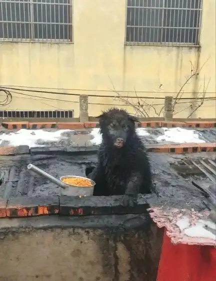 搞笑gif趣图大爷,给你鞠个躬,就假装没看到我迟到吧
