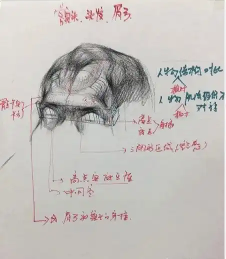 武汉209画室素描头像教学课件笔记参考
